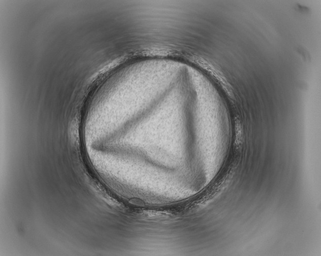 X0000111870681200908131612