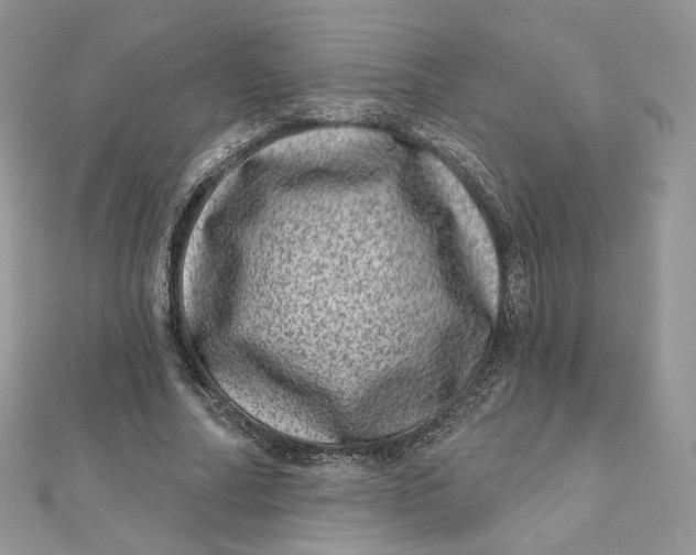 X0000111870682200908131612