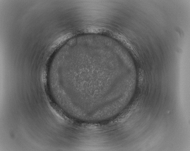 X0000111870683200908131612