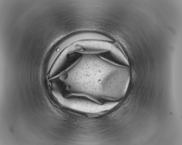 X0000111870684200908131612