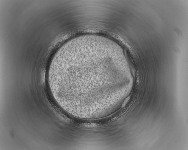 X0000111870685200908131612