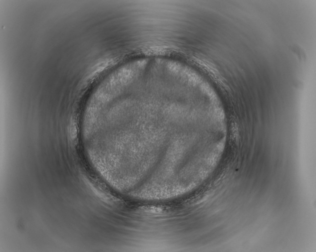 X0000111870687200908131612