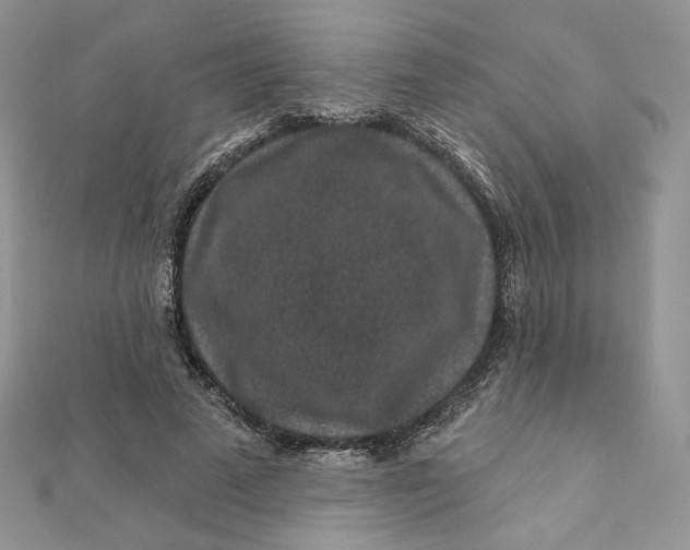 X0000111870689200908131612