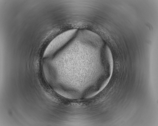 X0000111870690200908131612