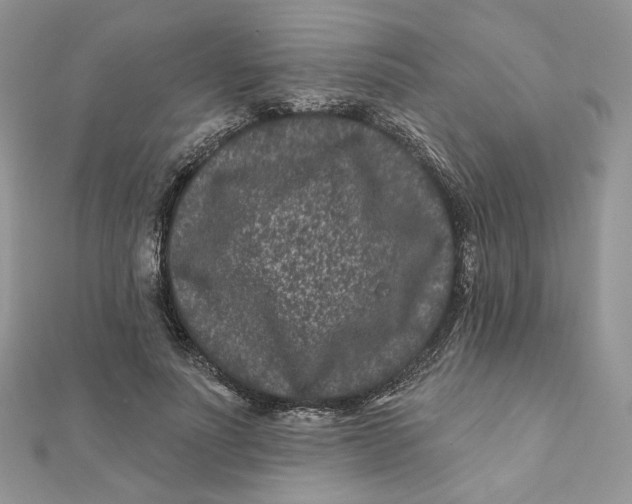 X0000111870691200908131612