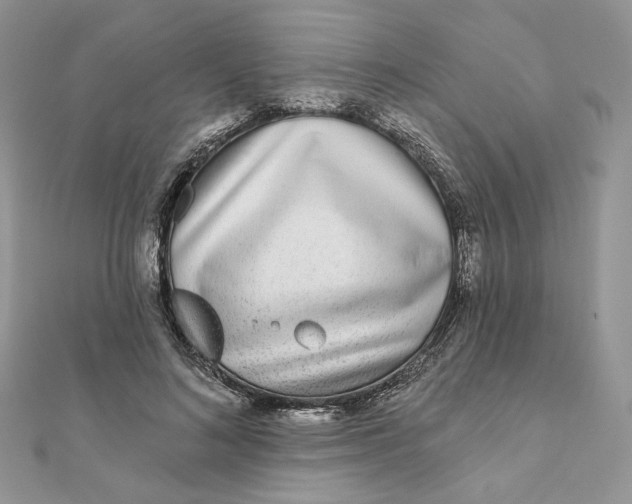 X0000111870692200908131612