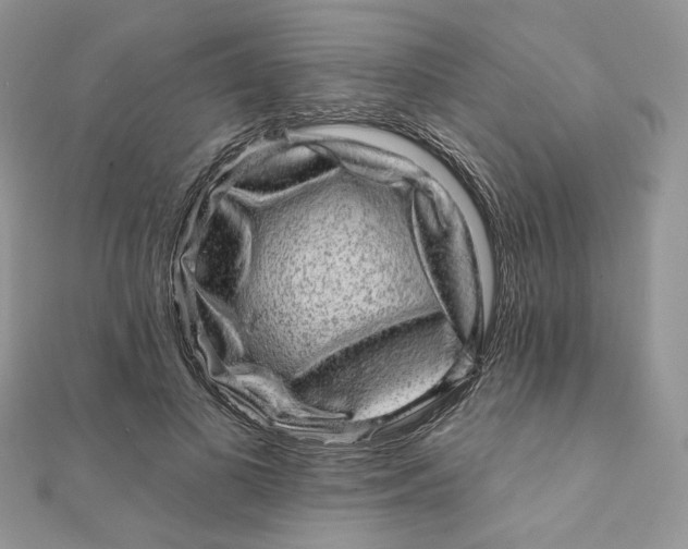 X0000111870693200908131612