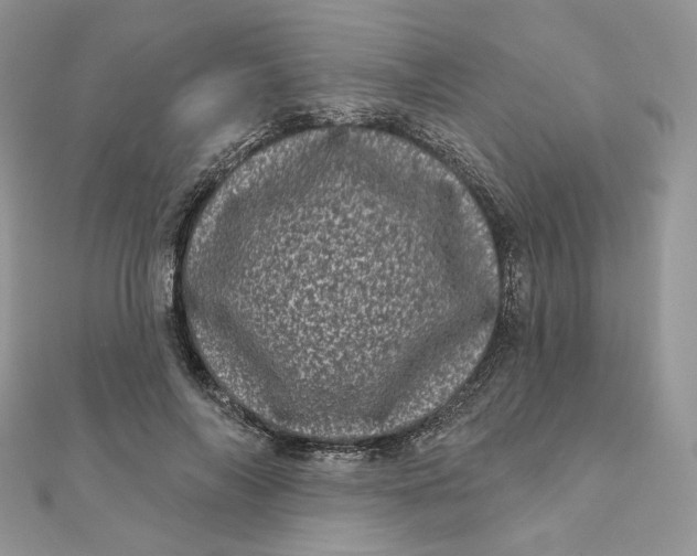 X0000111870694200908131612