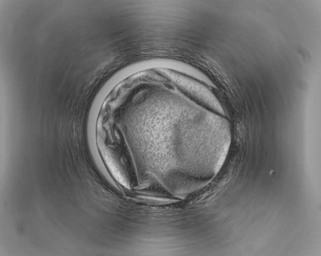 X0000111870697200908131612