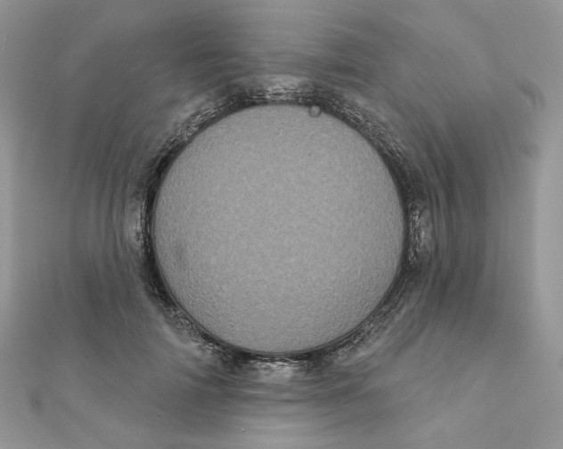 X0000111870698200908131612