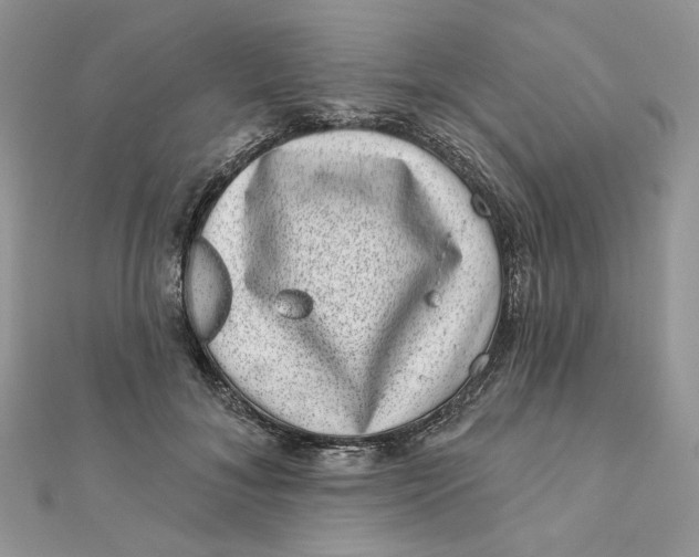 X0000111870700200908131612