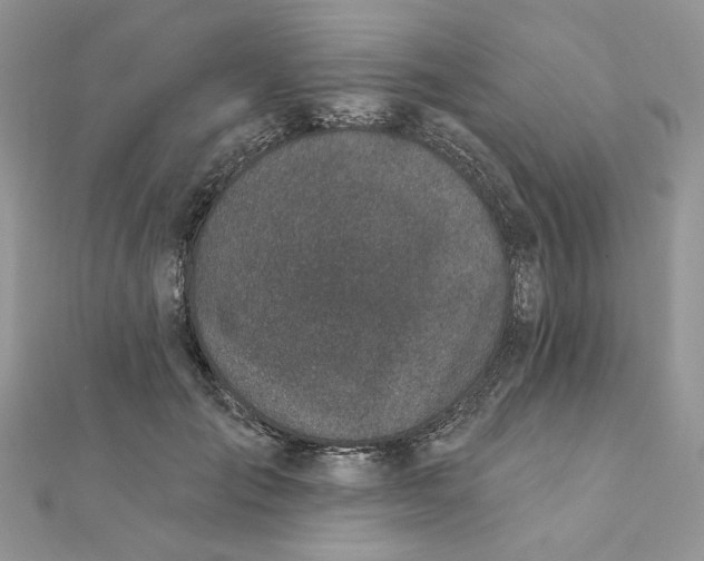 X0000111870701200908131612