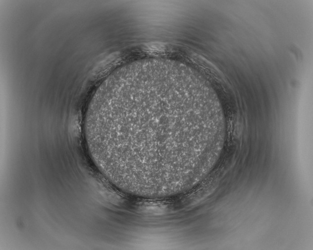 X0000111870702200908131612