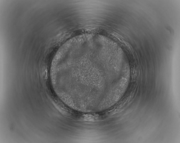 X0000111870703200908131612