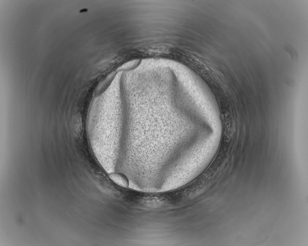 X0000111870704200908131612