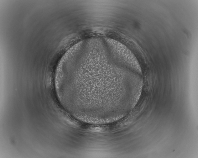 X0000111870706200908131612