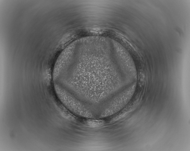 X0000111870707200908131612