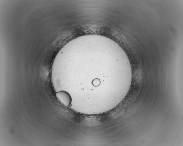 X0000111870709200908131612