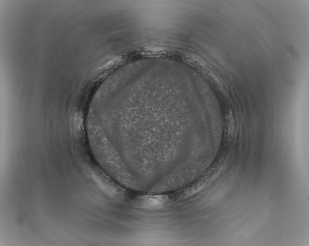 X0000111870711200908131612