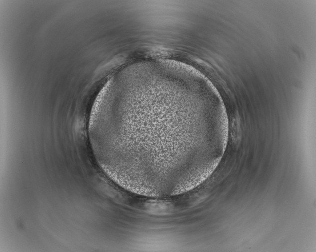 X0000111870714200908131612