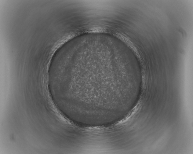 X0000111870721200908131611