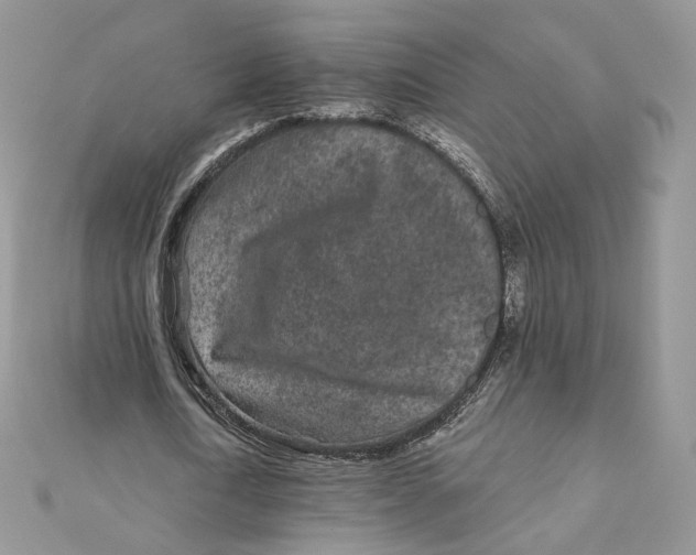 X0000111870722200908131611