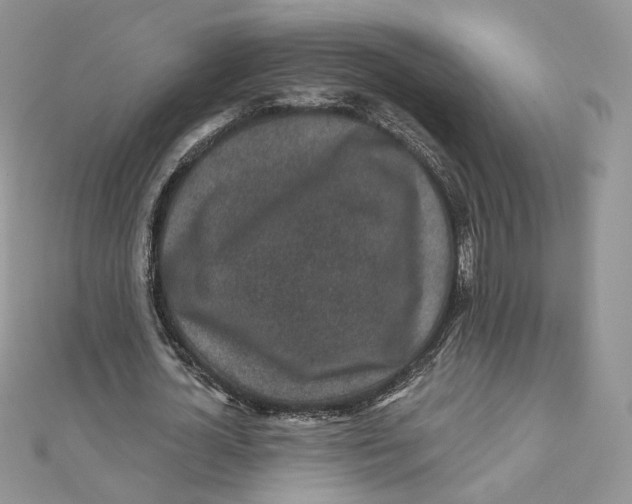 X0000111870724200908131611