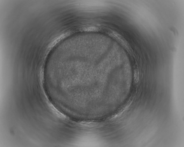 X0000111870725200908131611