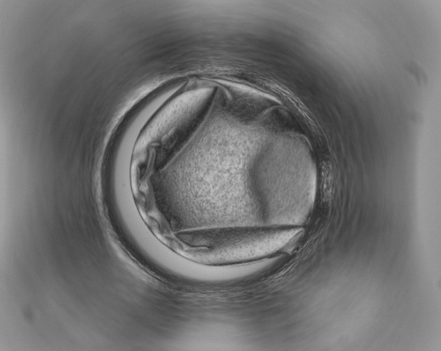 X0000111870726200908131611