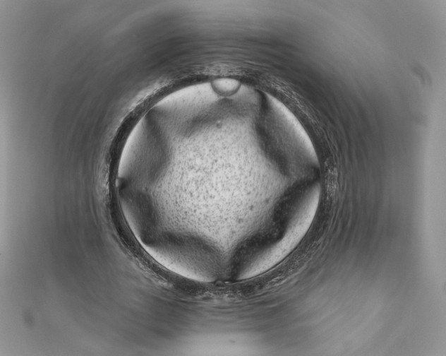 X0000111870727200908131611