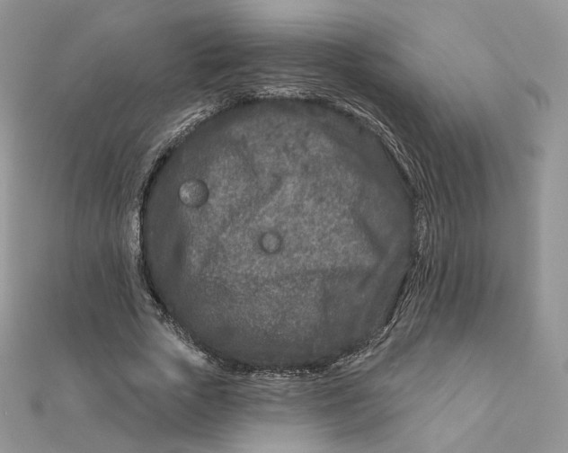 X0000111870729200908131611