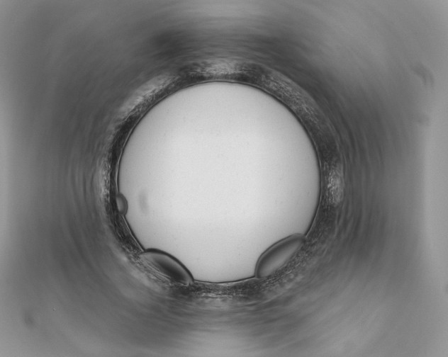 X0000111870732200908131611