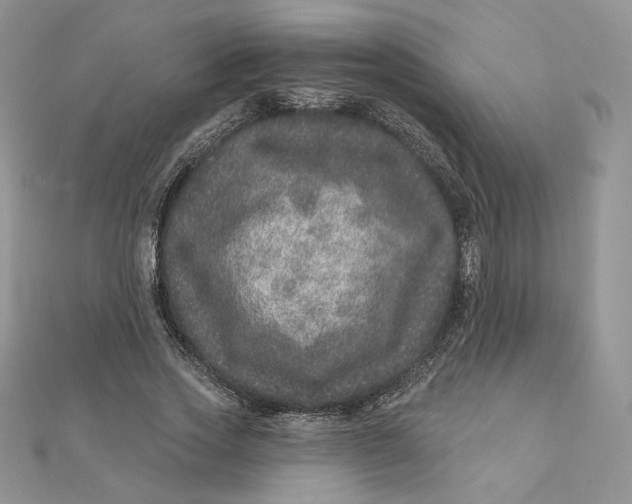 X0000111870733200908131611