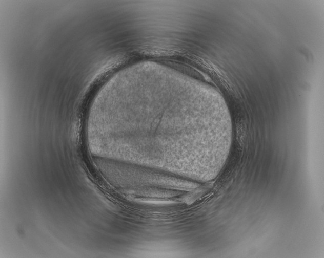 X0000111870735200908131611