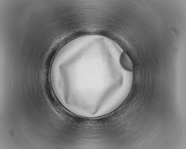 X0000111870736200908131611