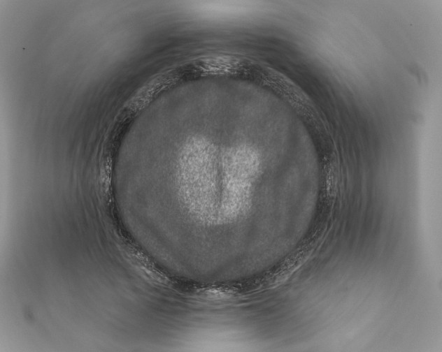 X0000111870737200908131611