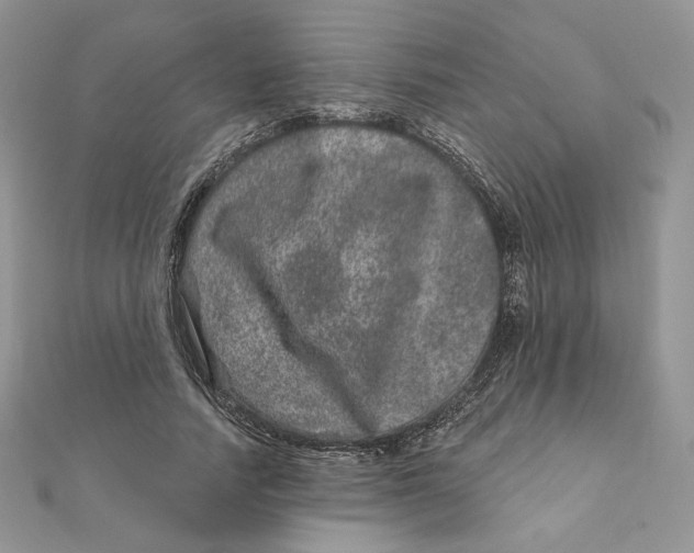 X0000111870738200908131611