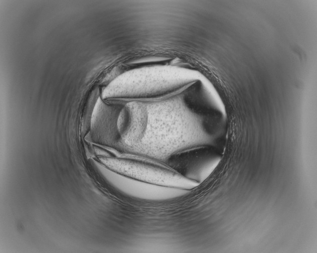 X0000111870740200908131611