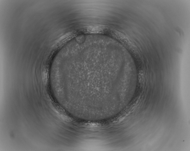 X0000111870741200908131611