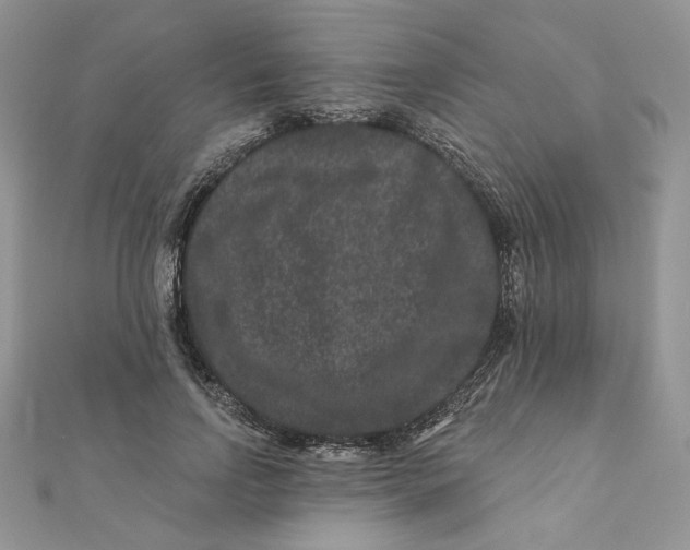 X0000111870742200908131611