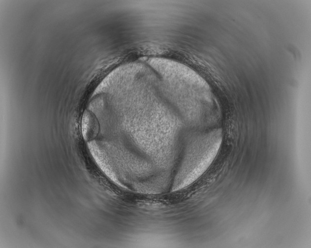 X0000111870743200908131611