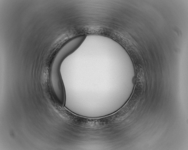 X0000111870744200908131611