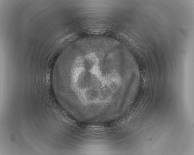 X0000111870745200908131611