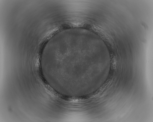 X0000111870746200908131611