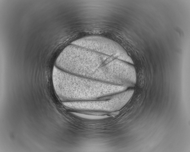 X0000111870747200908131611