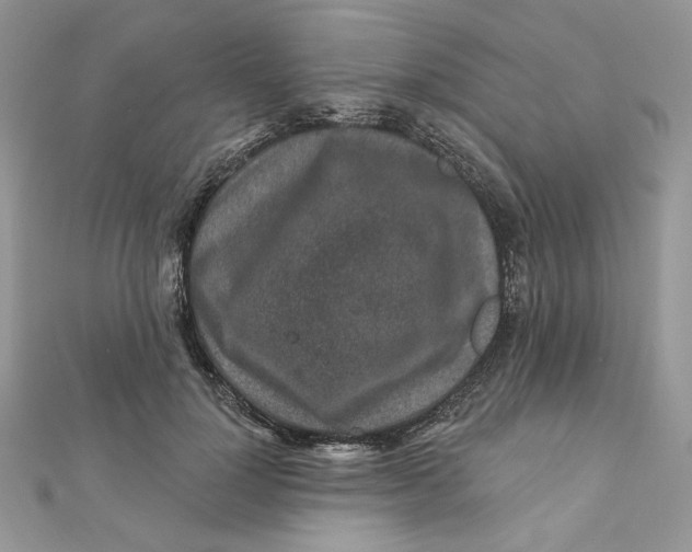 X0000111870748200908131611