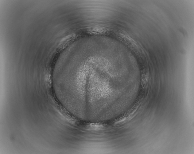 X0000111870749200908131611