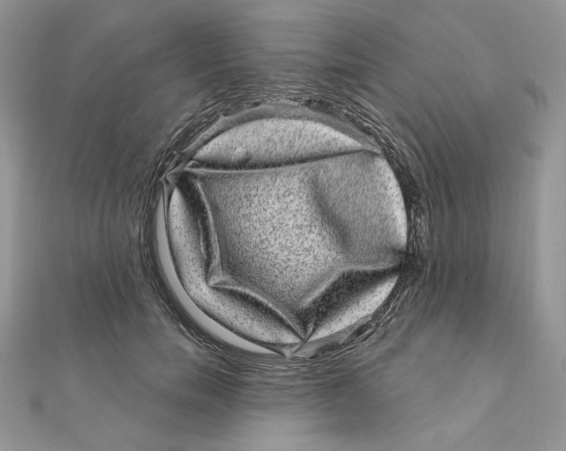 X0000111870750200908131611