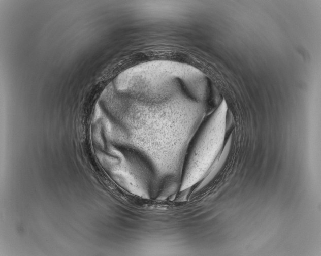 X0000111870751200908131611