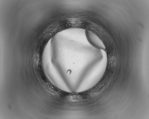 X0000111870752200908131611